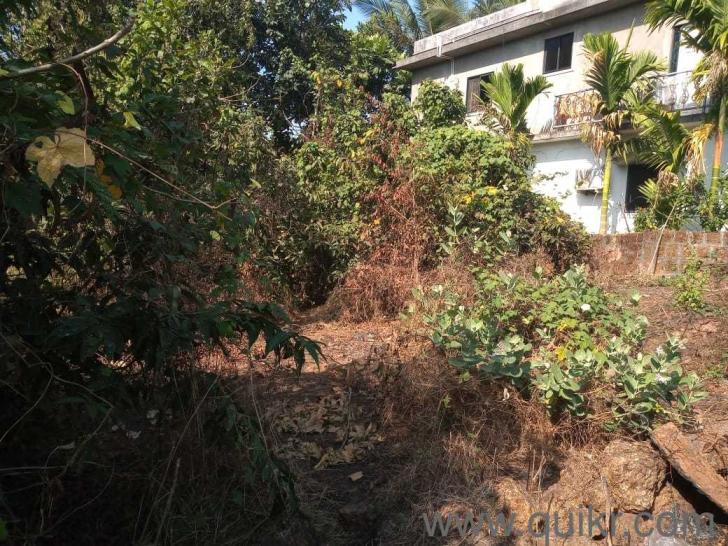 250 square metres plot for sale in Dhargal Goa Dhargal, Goa Quikr