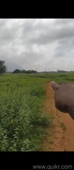 5428 Sq. ft Plot for Sale in Chinnalapatti, Dindigul(2)