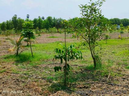 10100 Sq. ft Land for Sale in Chengalpattu, Chennai(1)