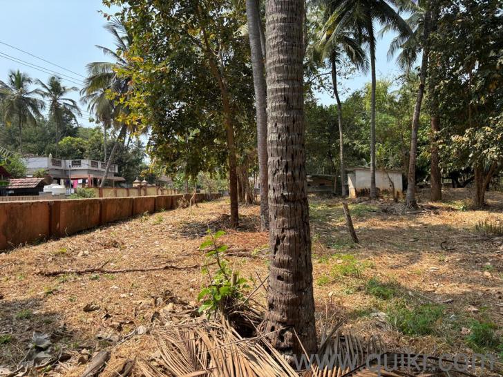 34322 Sq. ft Plot for Sale in Chittur, Palakkad(2)