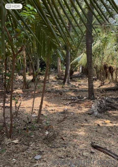 34322 Sq. ft Plot for Sale in Chittur, Palakkad