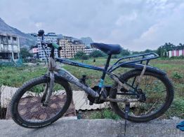 Two Seater Gearless Cycle  Excellent Condition  4,299 (Negotiable)