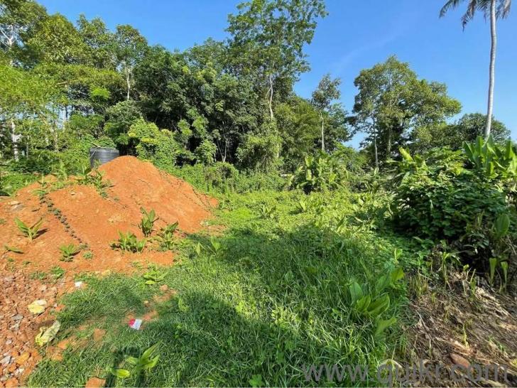 5,662.8 Sq. ft Plot for Sale in Nedumkunnam, Kottayam(2)