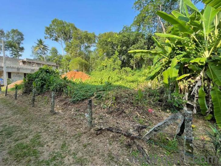 5,662.8 Sq. ft Plot for Sale in Nedumkunnam, Kottayam(1)