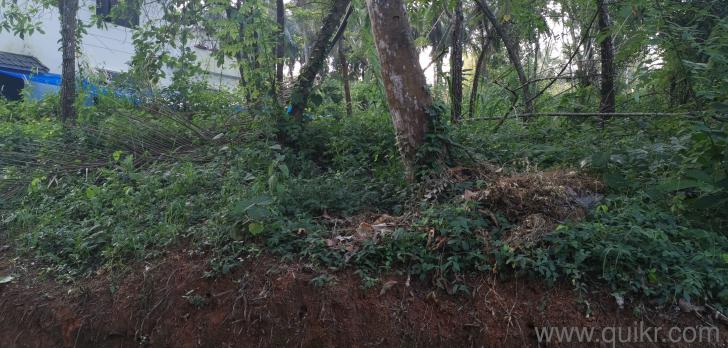 3485 Sq. ft Plot for Sale in Perintalmanna, Malappuram(1)