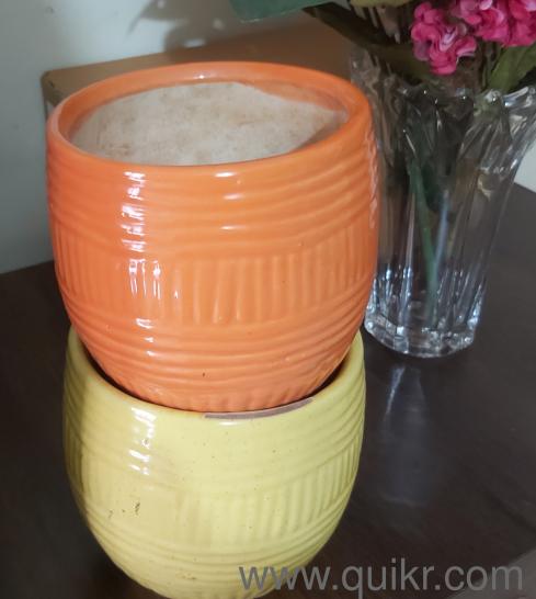 Ceramic planters . Rehoming it as lack space .(2)