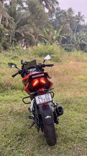 Bajaj Pulsar F250 - 2022(1)