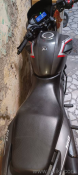 Honda SP160 Single Disc - 2024(2)