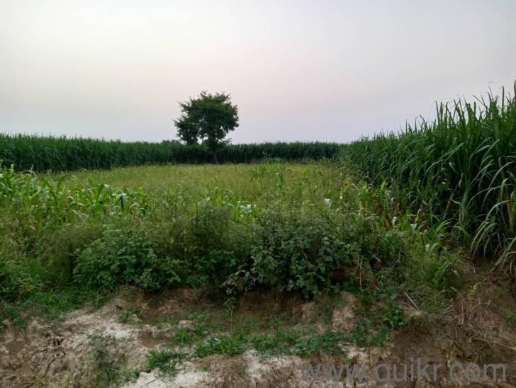 3024 Sq. ft Plot for Sale in Modinagar, Modinagar