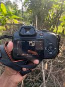 Very good condition.(3)