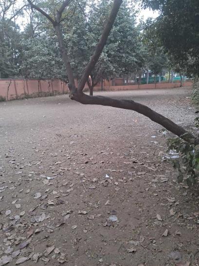 4250 Sq. ft Office for rent in Vijay Nagar, Jabalpur(3)