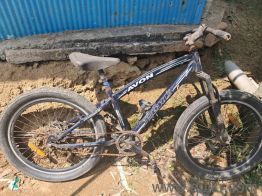 avon cycle