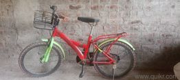 cycle  kids 20..  brand name - gang