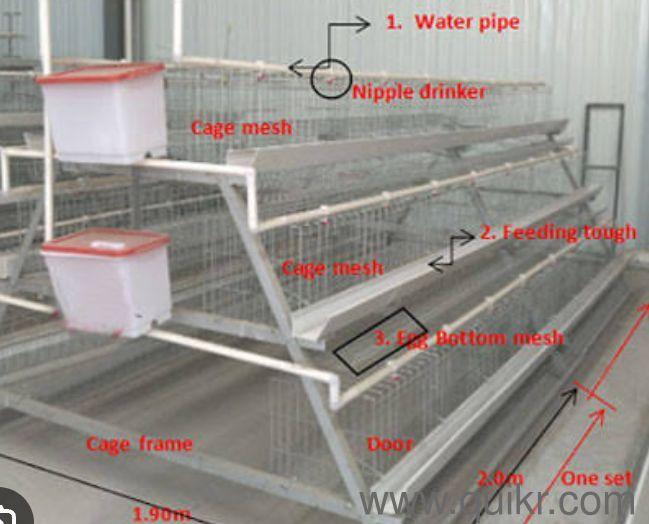 Layer Chicken cage (Excellent Condition)