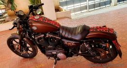 Used Harley Davidson Iron 883 2020 Model Images