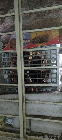 Window Cooler(2)