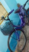 Avon Maggie Cycle