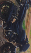 Used Bajaj Pulsar 125 2024 Model Images
