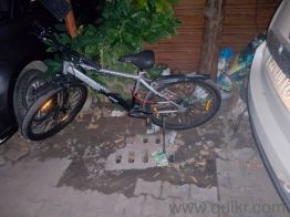 1 month old mountain cycle 