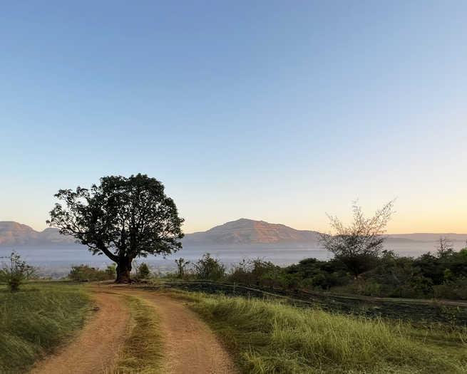 2473 Sq.ft Plot for Sale in Mulshi, Pune