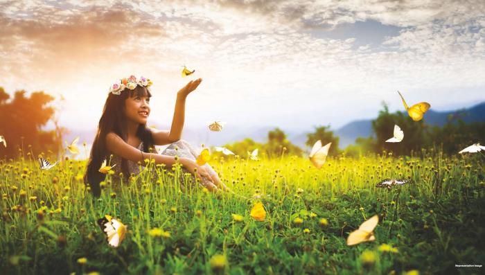 Plot for Sale in Devanahalli, Bangalore at Arvind The Park(3)